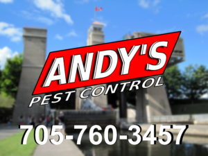 Peterborough Pest Control